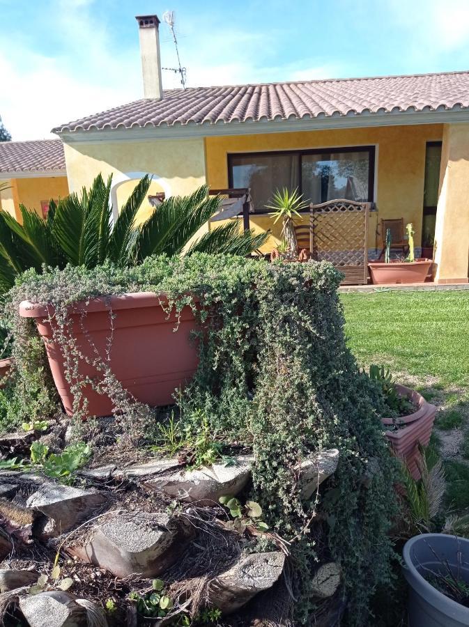 La Luce Del Sinis Villa Riola Sardo Dış mekan fotoğraf